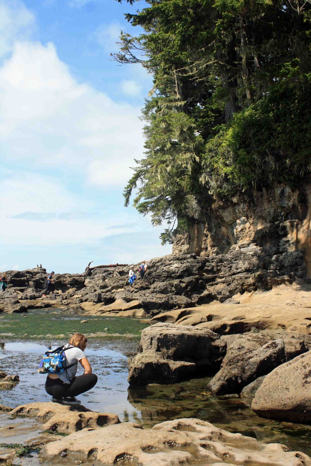 Botanical Beach beachcombing