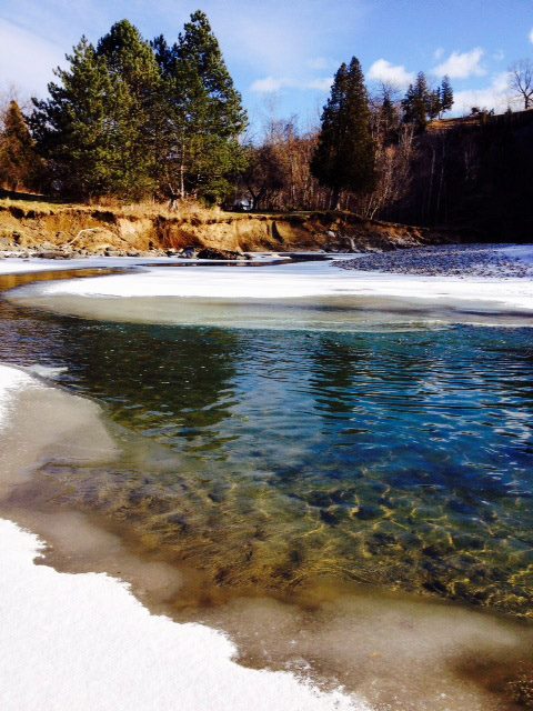 Highland cr in winter