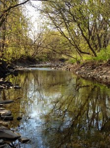 MimicoCreek-spring2