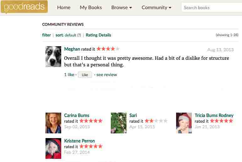 last-summoner-goodreads