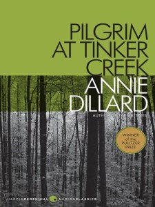 pilgrim-at-tinker-creek