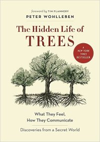 hiddenlifeoftrees