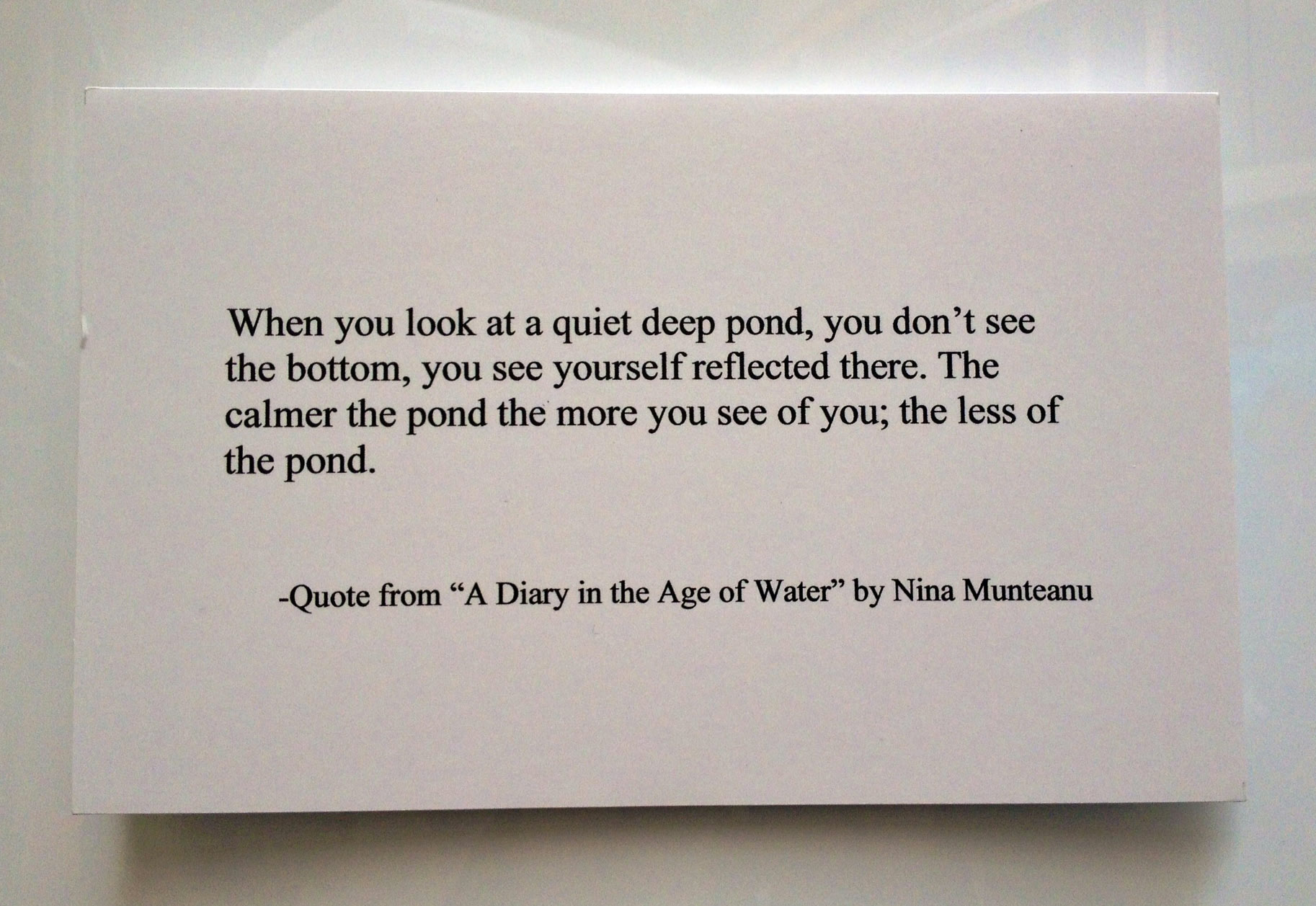 DiaryAgeOfWater-quote