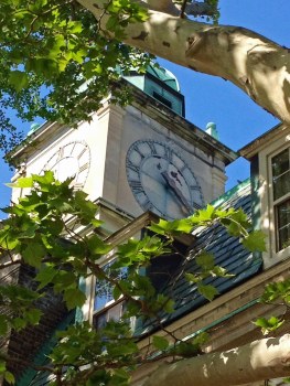 UofT-clocktower-sicamortrees