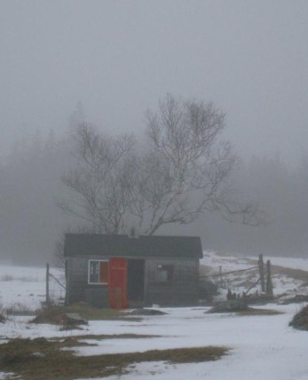 farm in fog-Liverpool NS