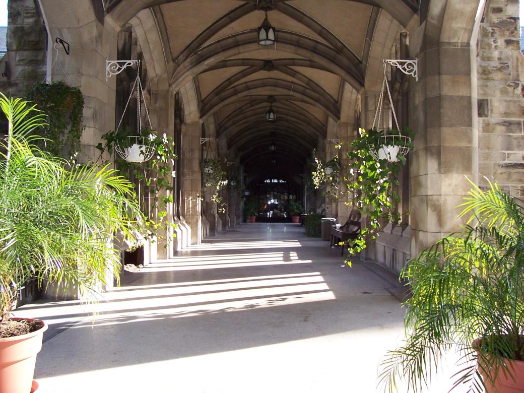 knox breezeway01 copy