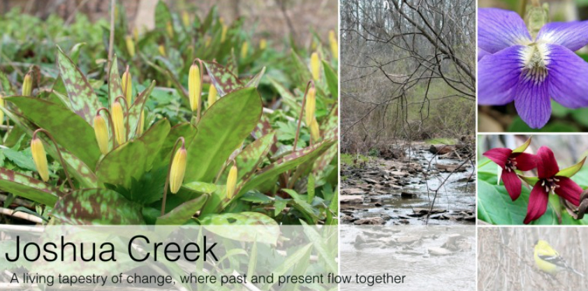 JoshuaCreek