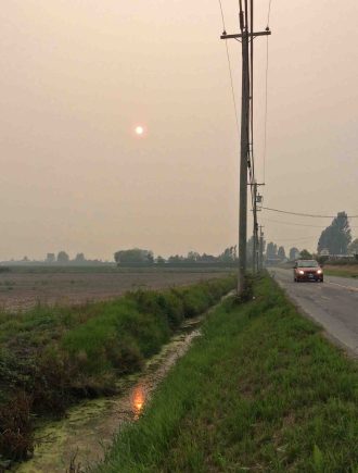 smoky sun-Ladner 6pm