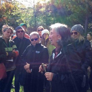 DianaBeresfordKroeger