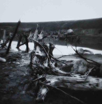 PhotoArt2-Morphology copy