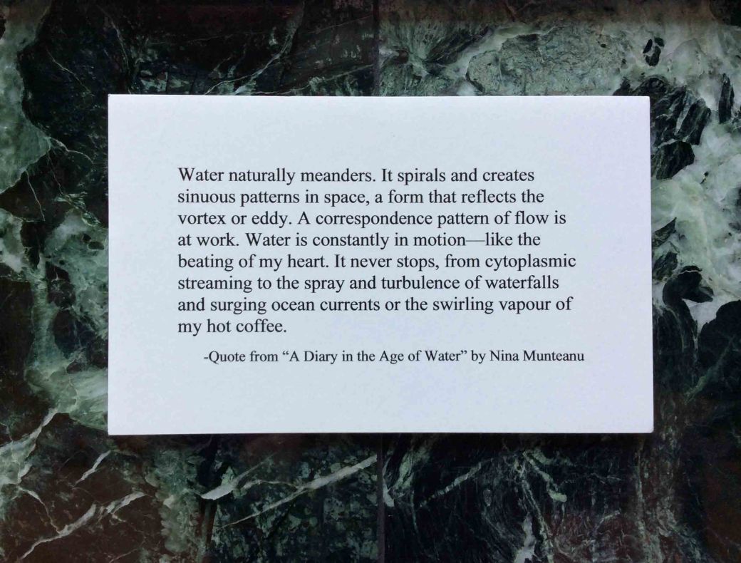 Water meanders-diary