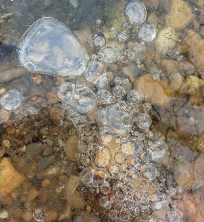 Bubbles under ice-LR