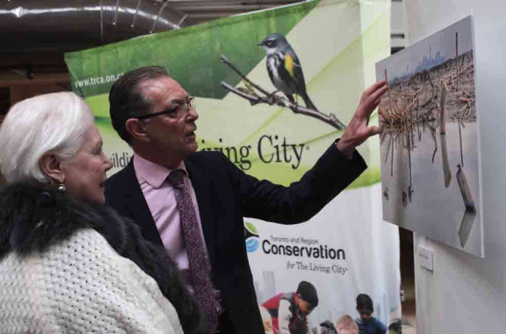 JimTovey-Dowd-Morphology-JStewart