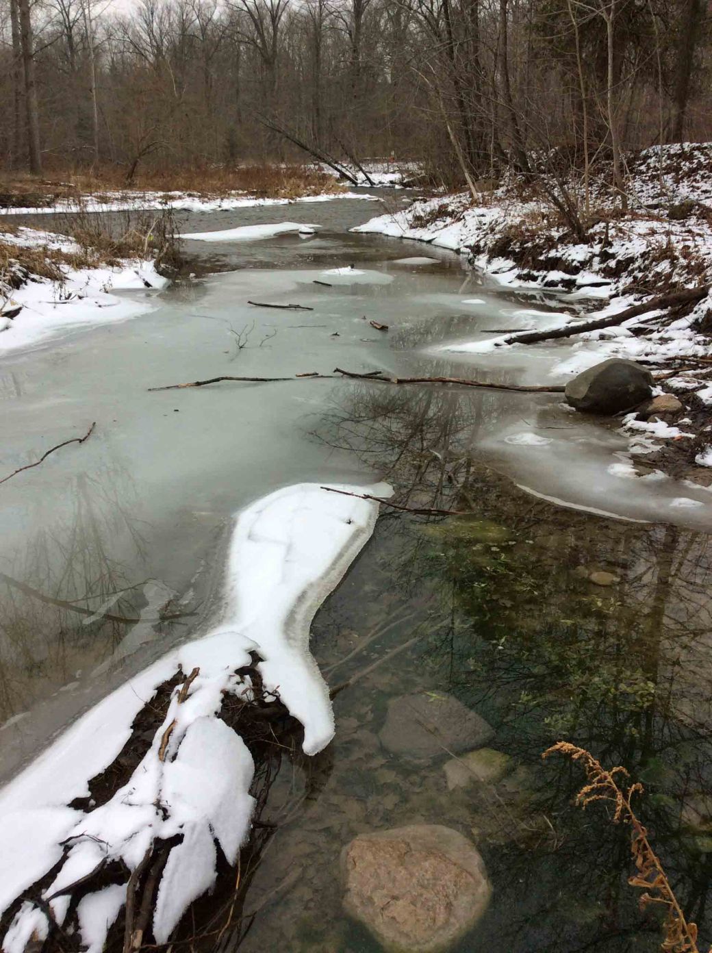 LittleRouge-icing shallows