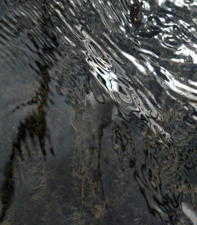 water-pattern-06-credit