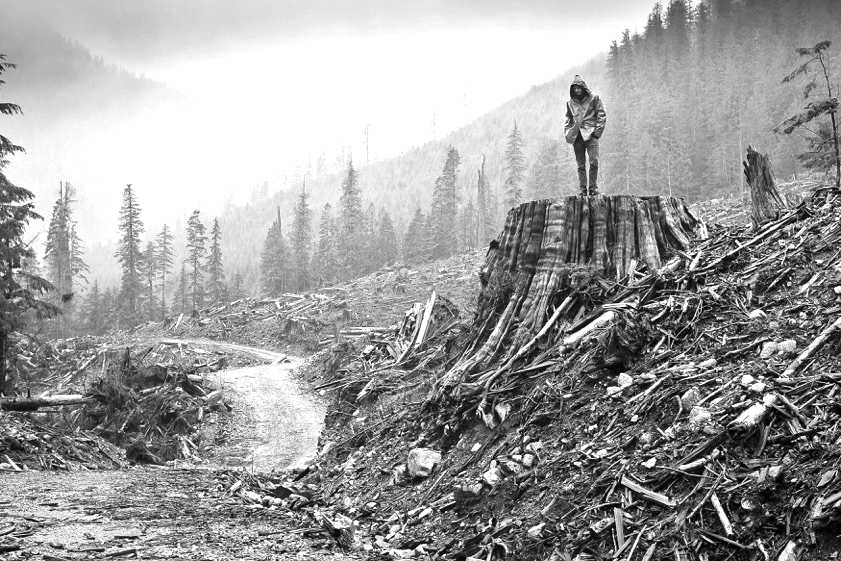 Clearcut gordon valley-BW