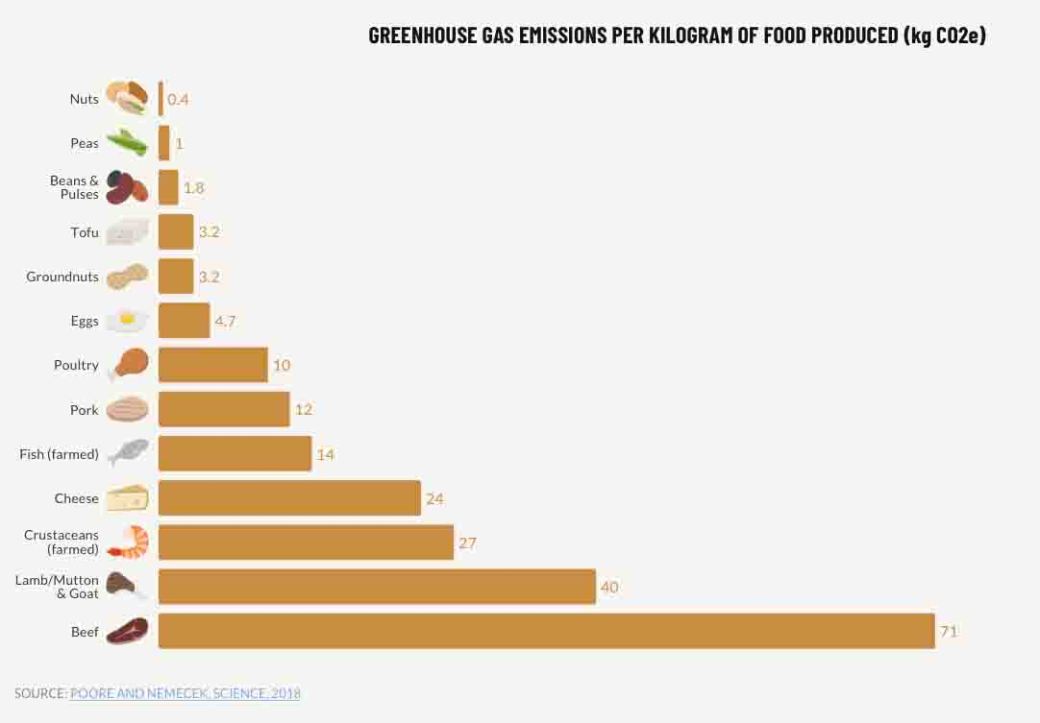 Greenhouse Gases-FOOD