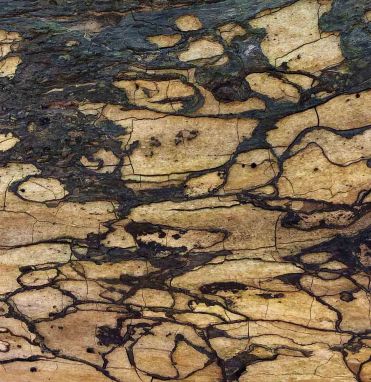 patterns-Spalting-LR