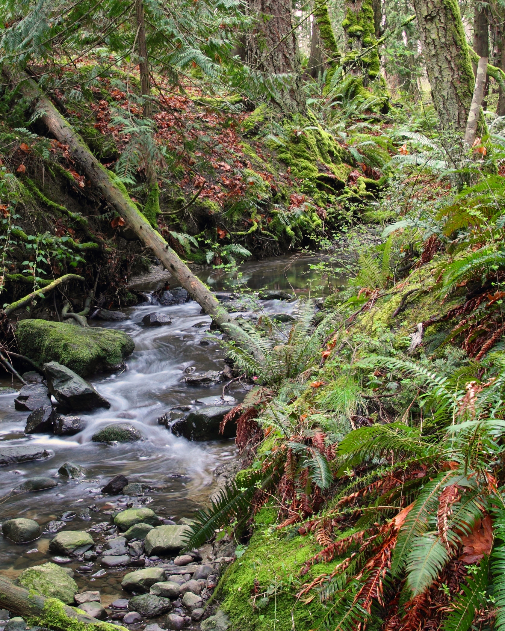 Stream longshutter-warmed-close01 copy