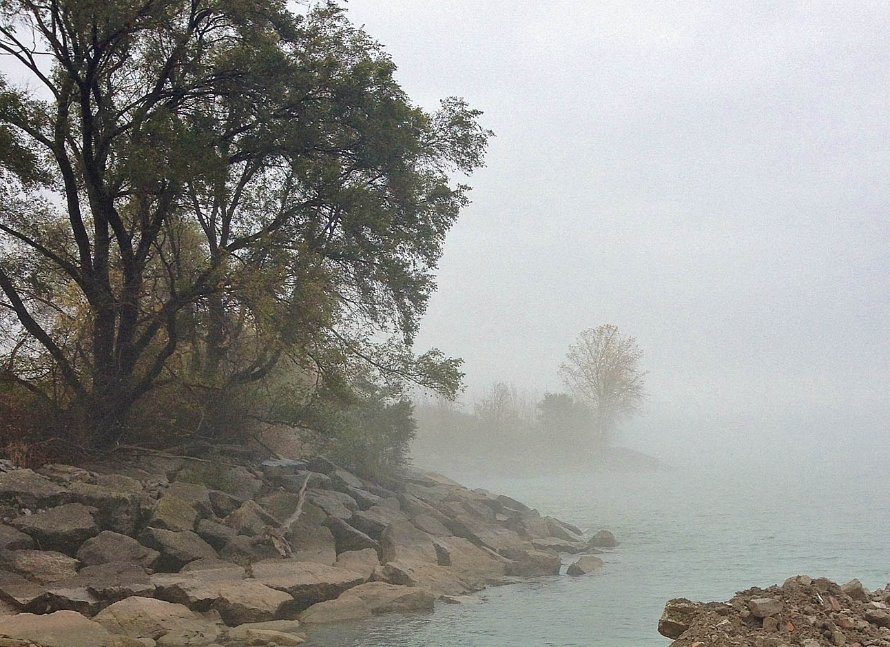 SersonCr-mouth close copy