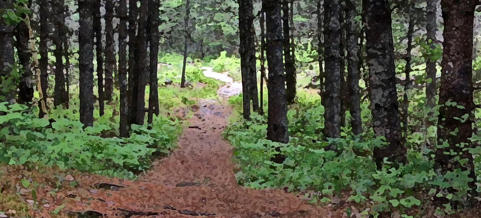 Path Pine forest drybrush PPP